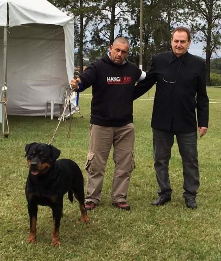 165ª Expo Especializada do Rottweiler - Canil von Greek | Canil de Rottweiler em São Paulo - Criação Selecionada e Filhotes de Rottweilers. GUARAREMA | PARAIBUNA - SP